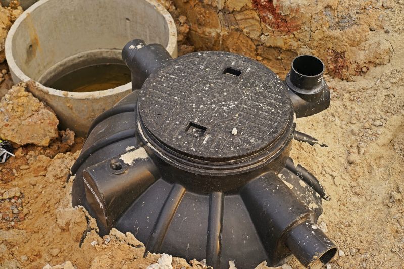 Septic System Dye Testing